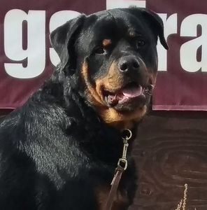 Meet your Posher, Julie